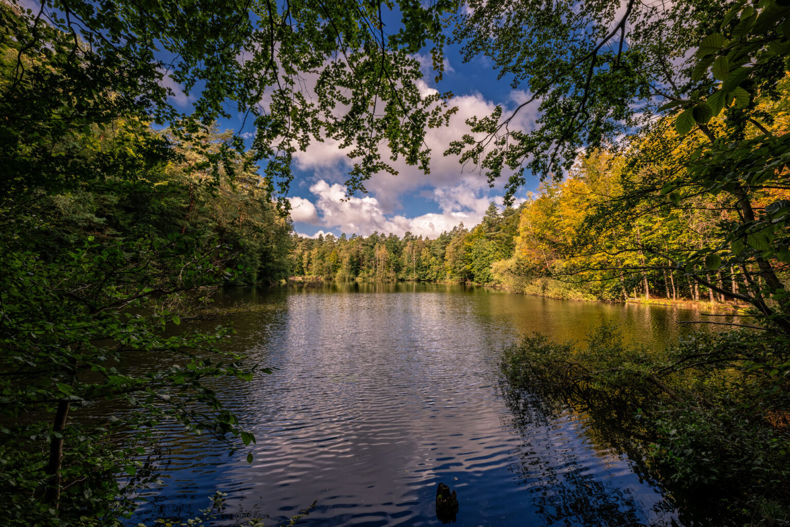 Unterwegs in Mittelerde (Silbersee im Villewald)