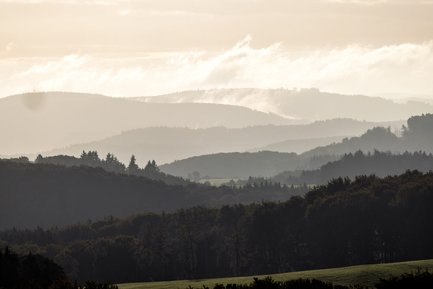 Septembermorgen in der Nordeifel